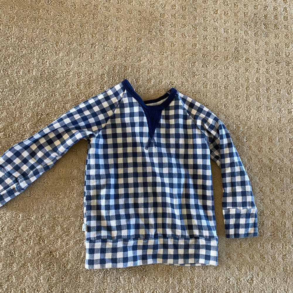 Childhoods blue gingham crew sweatshirt 4T